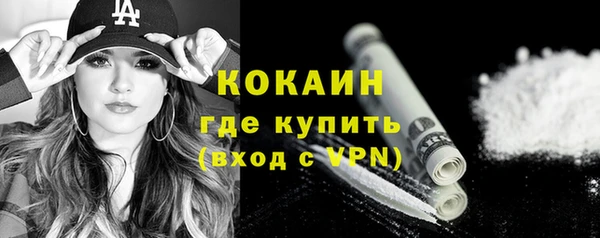 прущие грибы Богородицк