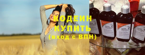 гашик Богданович