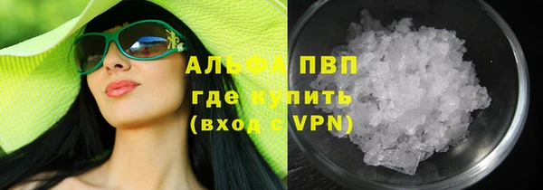 прущие грибы Богородицк