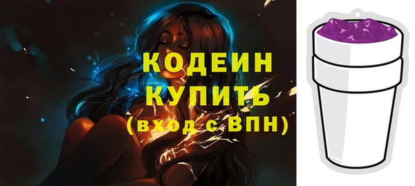 прущие грибы Богородицк