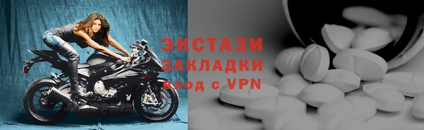 прущие грибы Богородицк