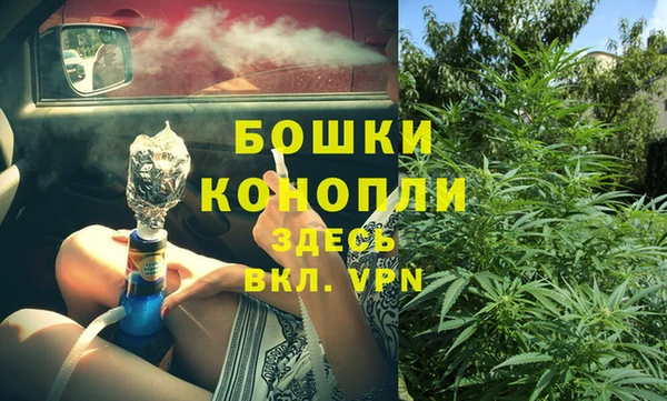 гашик Богданович