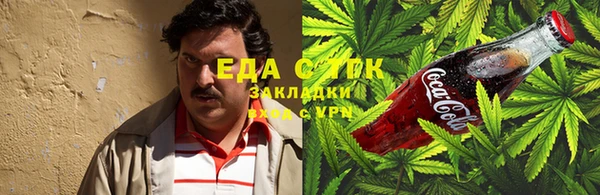 гашик Богданович