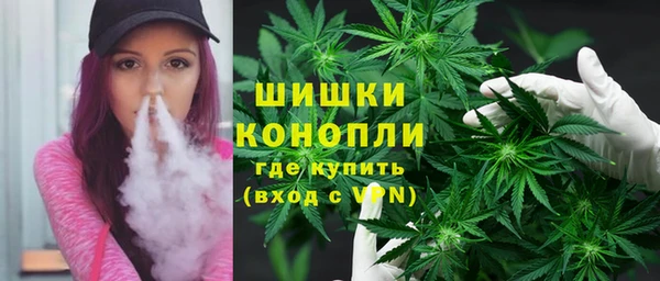 прущие грибы Богородицк