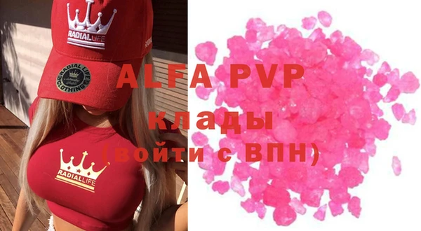гашик Богданович