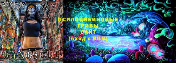 прущие грибы Богородицк