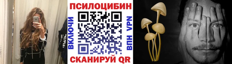 Псилоцибиновые грибы мухоморы  купить наркотики цена  Йошкар-Ола 